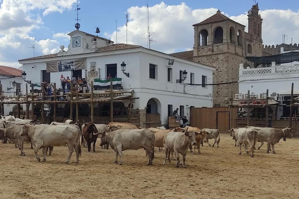 فيلا El Zarzal De Segura Segura de León المظهر الخارجي الصورة